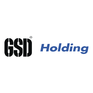 GSD HOLDING