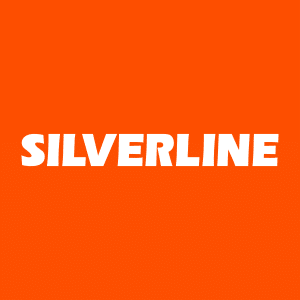 SILVERLINE ENDUSTRI